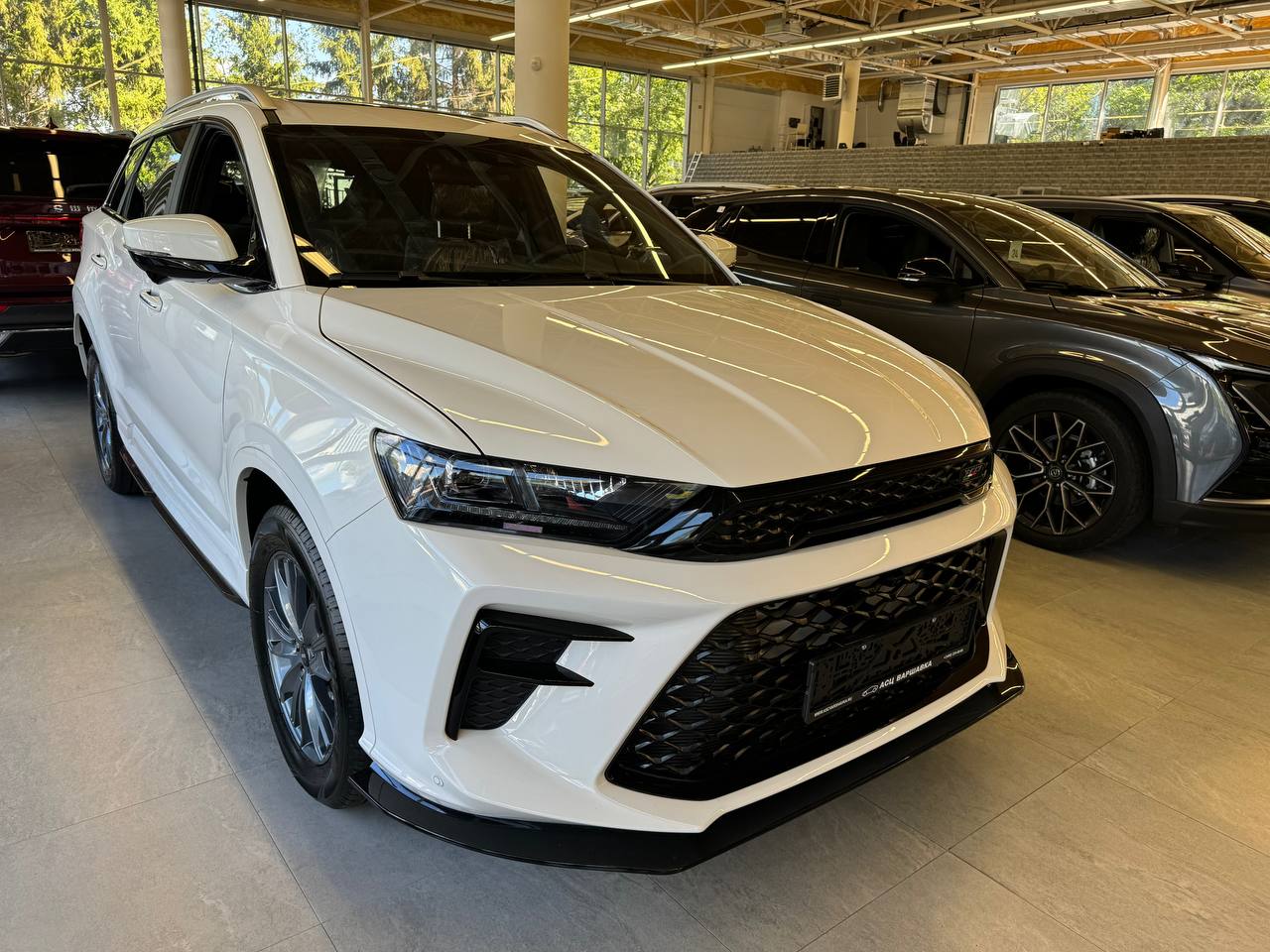 Спецпредложение